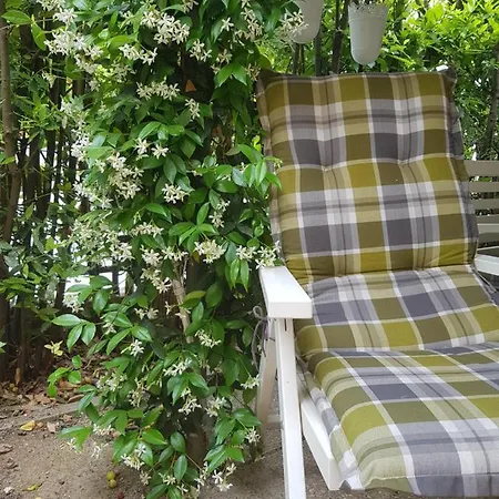 Casale Cisanello Guest house Pisa