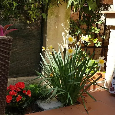 Casale Cisanello