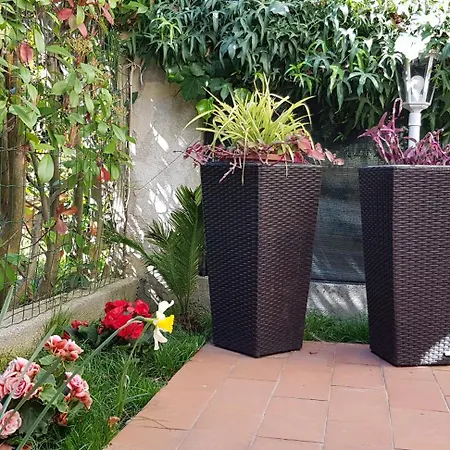 Guest house Casale Cisanello